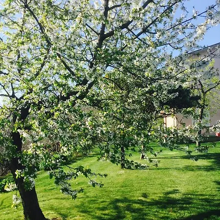 Villa Concetta Caprarola